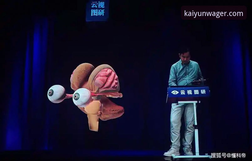 开云下注平台最新动态：重塑真人娱乐体验，前瞻性交互设计引领行业创新